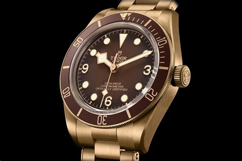 tudor black bay 58 dial|tudor black bay 58 price.